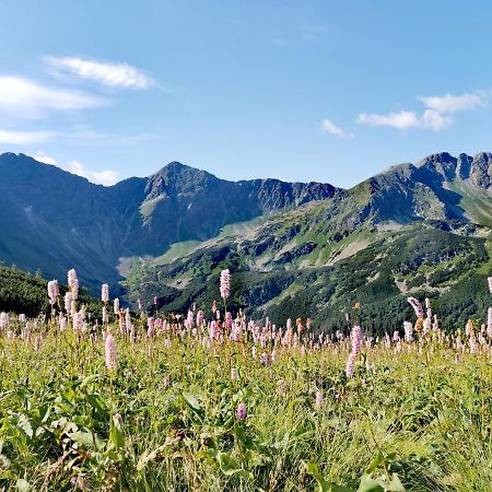 Liptovský TrnovecPrivat Mimaアパートメント エクステリア 写真